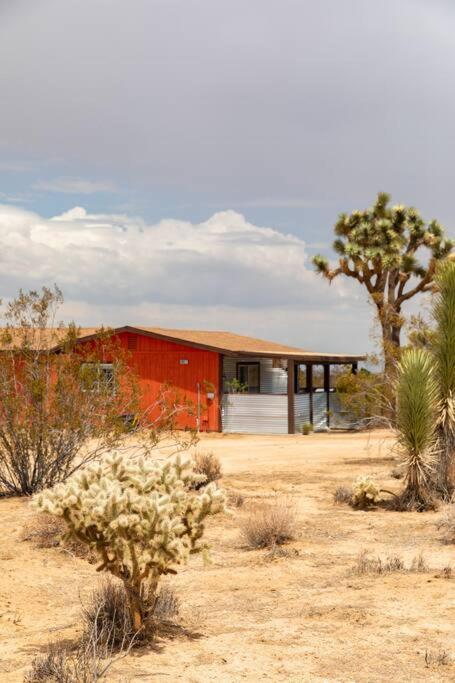 Cryptic Cabin-Tranquil Bohemian Getaway W/Hot Tub Yucca Valley Exteriör bild